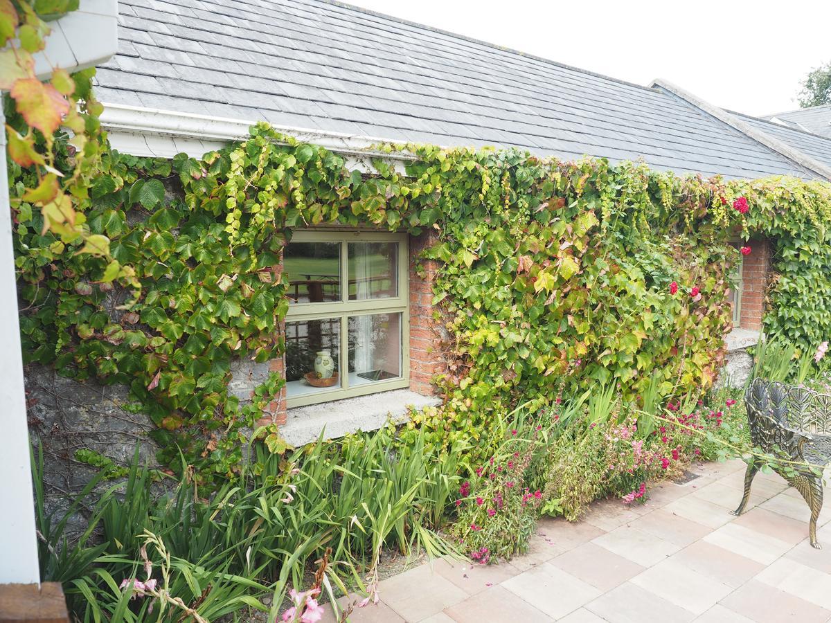 Coolanowle Self Catering Holiday Accommodation Carlow Exterior foto